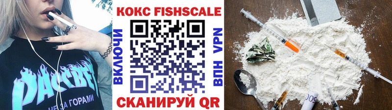 Купить  Николаевск-на-Амуре  Cocaine FishScale 